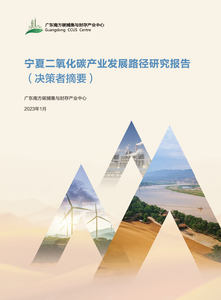 宁夏碳产业发展路径研究报告（决策者摘要）.png